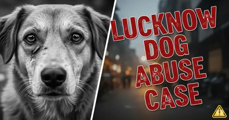 Lucknow Dog Abuse Case